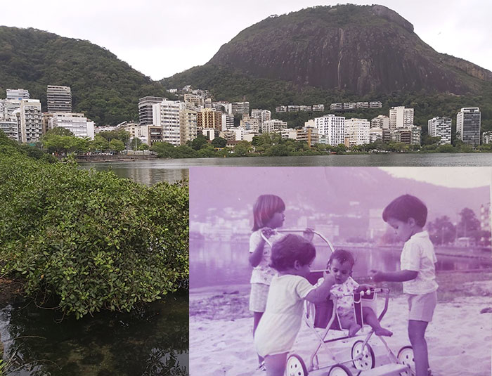 Manguezal da Lagoa hoje e há 50 anos