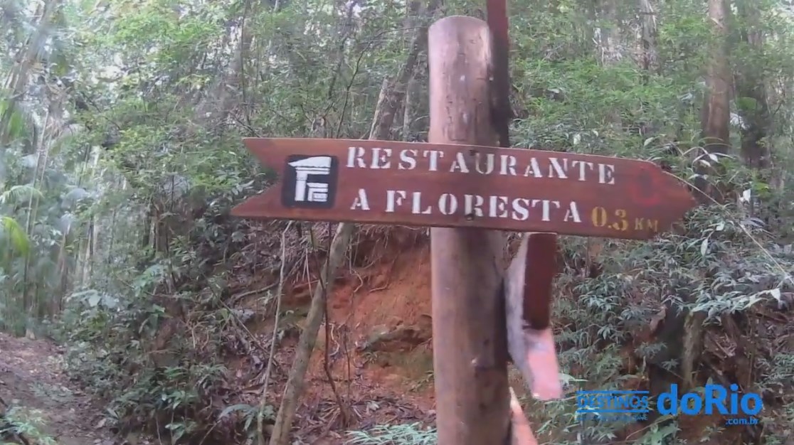 restaurante a floresta 2